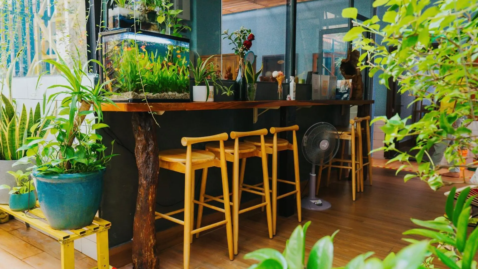 Vania House 胡志明市 越南