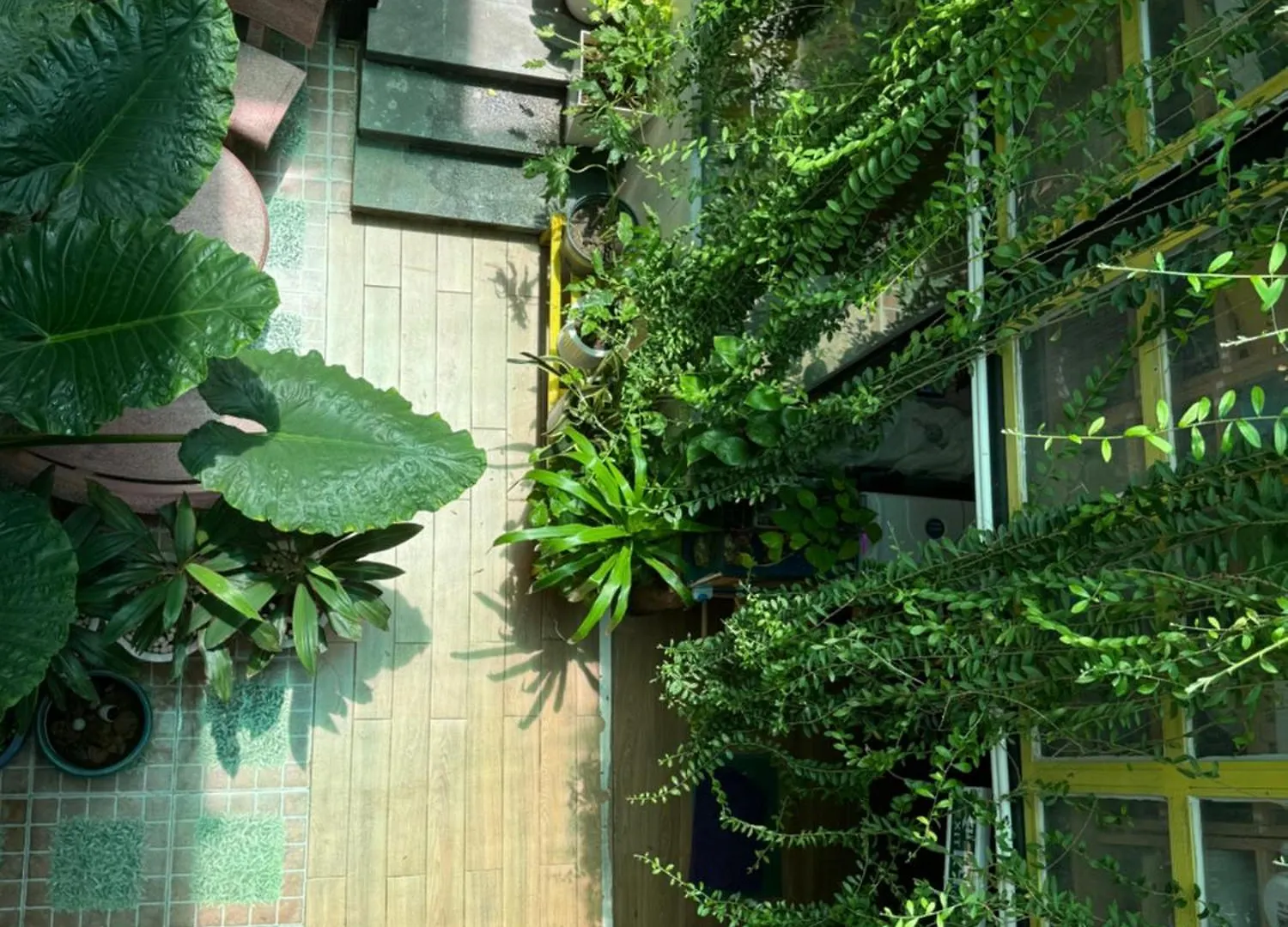 Vania House 胡志明市