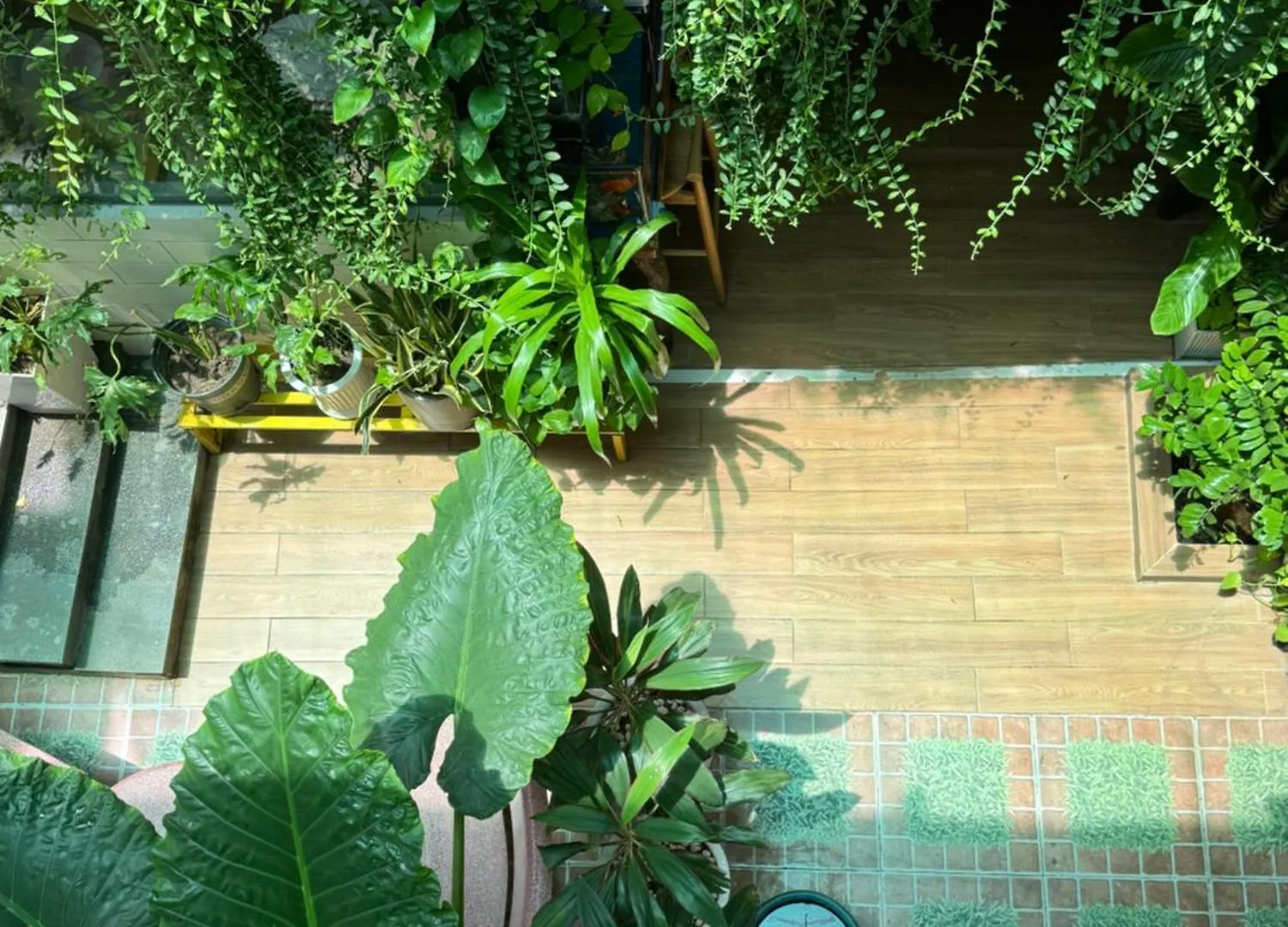 Affittacamere Vania House Thành Pho Ho Chí Minh Vietnam